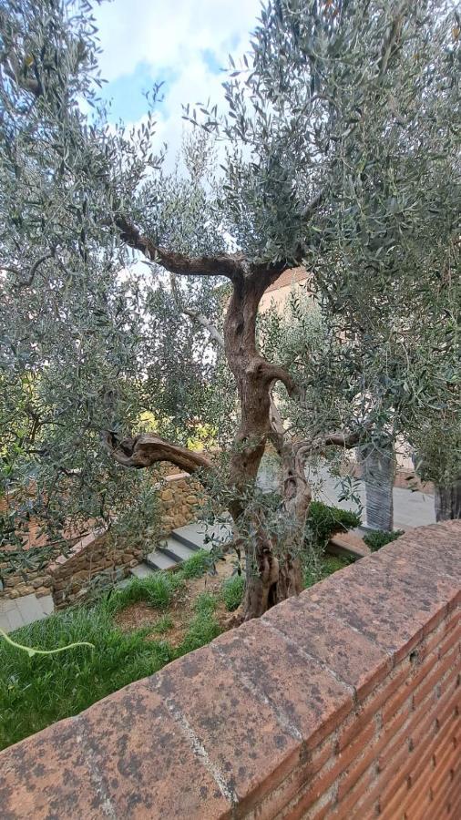 Casina Di Alice Apartment Vinci Bagian luar foto